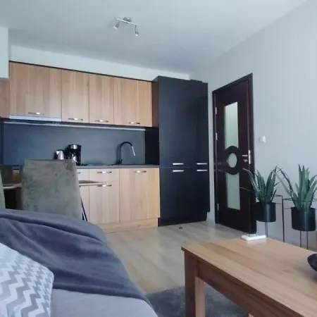 с одной спальней родина Apartment